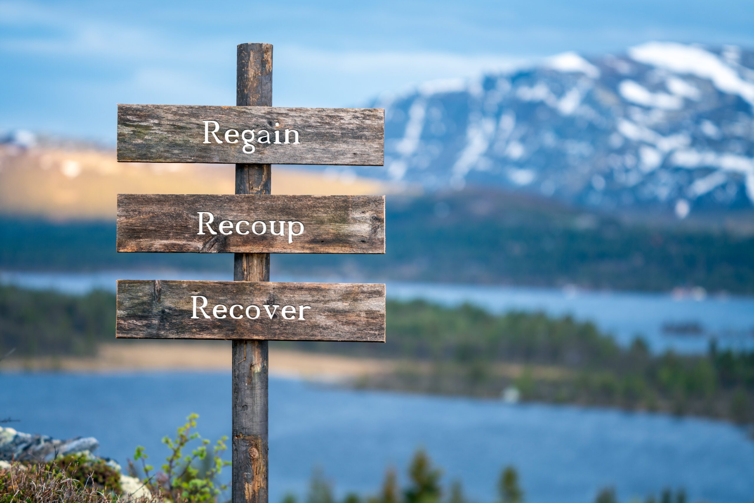 Build a Recovery Plan, customized recovery plan