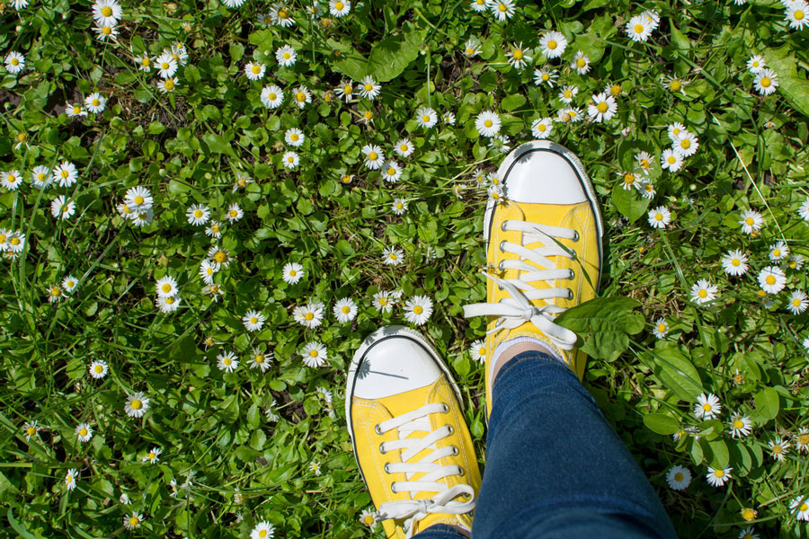 yellow sneakers in a daisy field - springtime